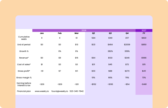 Financial Projection